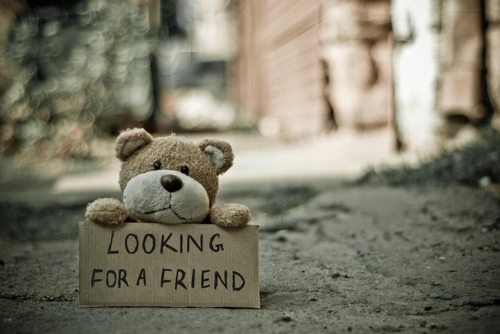 Teddy bear holding sign that reads "Looking for a Friend"