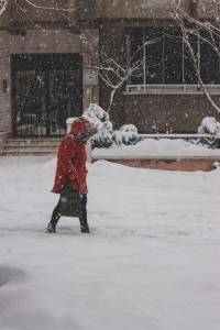 Person walking in a snowstorm